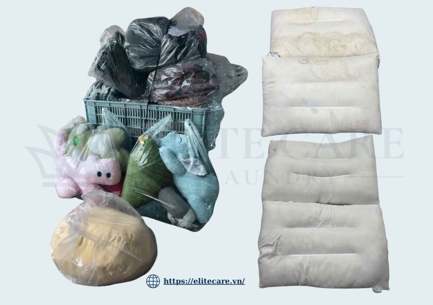 Dịch vụ Giặt vỏ sofa, giặt thú bông, giặt ruột gối tại Elitecare Laundry