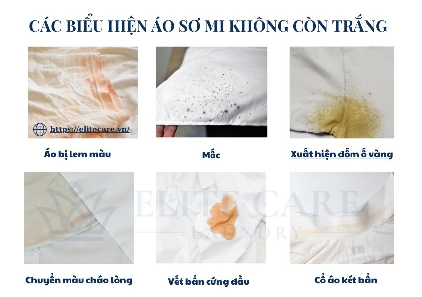 Các biểu hiện áo sơ mi không còn trắng
