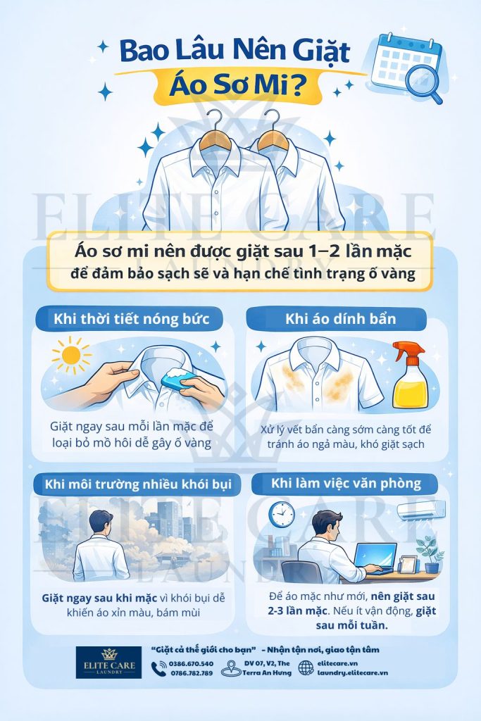 infographic bao lâu nên giặt áo sơ mi và tần suất giặt hợp lý